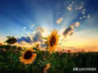河北即悦文化传媒有限公司