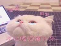 河北即悦文化传媒有限公司