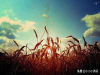 河北即悦文化传媒有限公司
