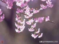 河北即悦文化传媒有限公司