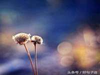 河北即悦文化传媒有限公司