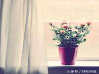 河北即悦文化传媒有限公司