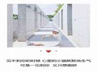 河北即悦文化传媒有限公司