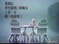 河北即悦文化传媒有限公司