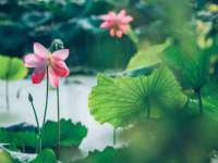 河北即悦文化传媒有限公司