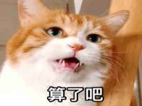 河北即悦文化传媒有限公司