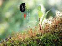 河北即悦文化传媒有限公司