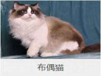 河北即悦文化传媒有限公司