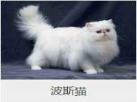 河北即悦文化传媒有限公司