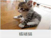 河北即悦文化传媒有限公司