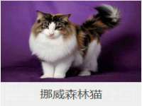 河北即悦文化传媒有限公司