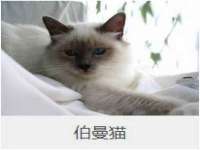 河北即悦文化传媒有限公司