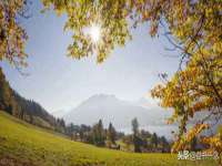河北即悦文化传媒有限公司