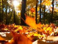 河北即悦文化传媒有限公司