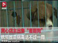 河北即悦文化传媒有限公司
