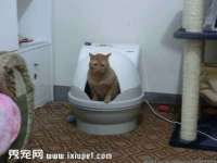 河北即悦文化传媒有限公司