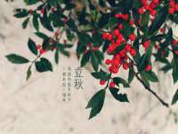河北即悦文化传媒有限公司