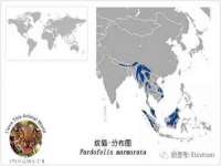 河北即悦文化传媒有限公司