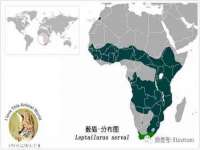 河北即悦文化传媒有限公司