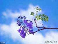 河北即悦文化传媒有限公司