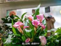 河北即悦文化传媒有限公司