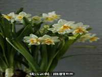 河北即悦文化传媒有限公司
