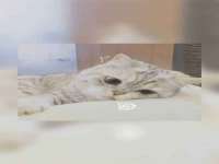 河北即悦文化传媒有限公司