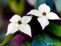河北即悦文化传媒有限公司