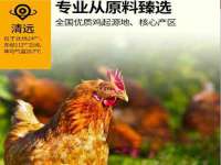 河北即悦文化传媒有限公司