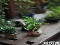 河北即悦文化传媒有限公司