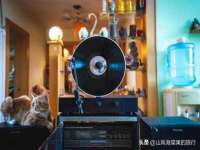 河北即悦文化传媒有限公司