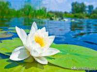 河北即悦文化传媒有限公司