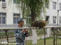 河北即悦文化传媒有限公司