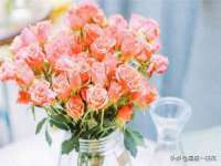 河北即悦文化传媒有限公司