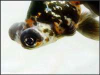 河北即悦文化传媒有限公司