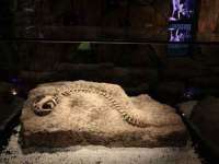 河北即悦文化传媒有限公司