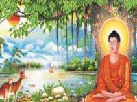 河北即悦文化传媒有限公司